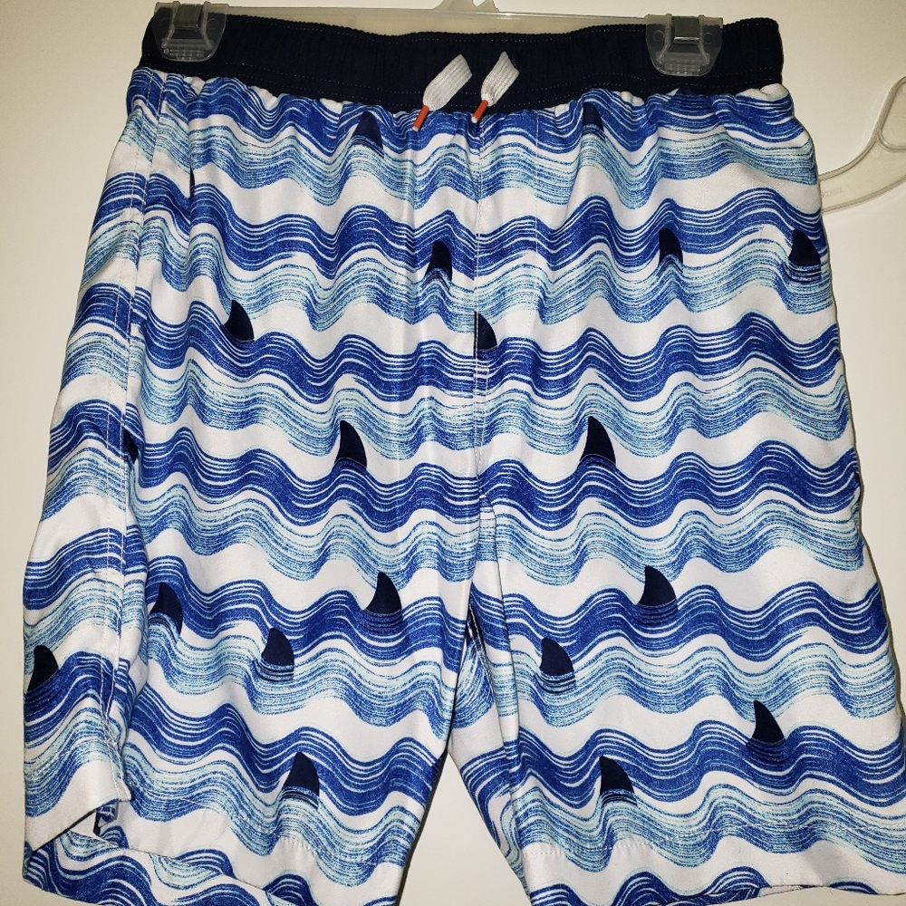 Lands' End Swim Trunks